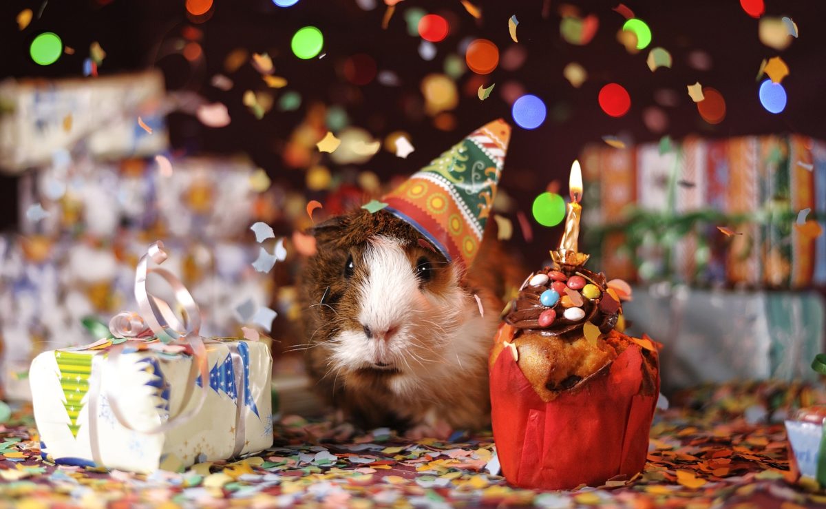 Sorgen Sie bei der Party für jede Menge Stimmung! Nutzen Sie die Macht der Überraschungen!